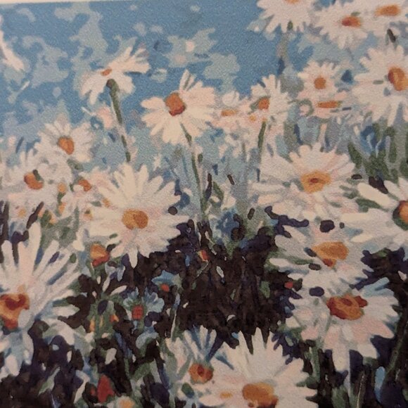Other - Daises Paint by Number